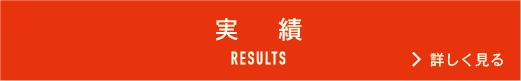実績