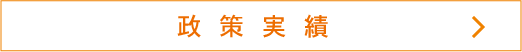 政策実績