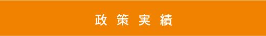 政策実績